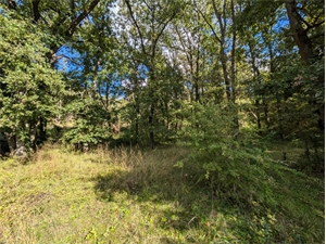 terrain à la vente -   77140  NEMOURS, surface 11186 m2 vente terrain - APR742446